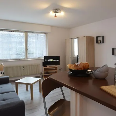 Appartamento Cote Est, Pretty Flat At 2 Minutes From Little Venice Colmar